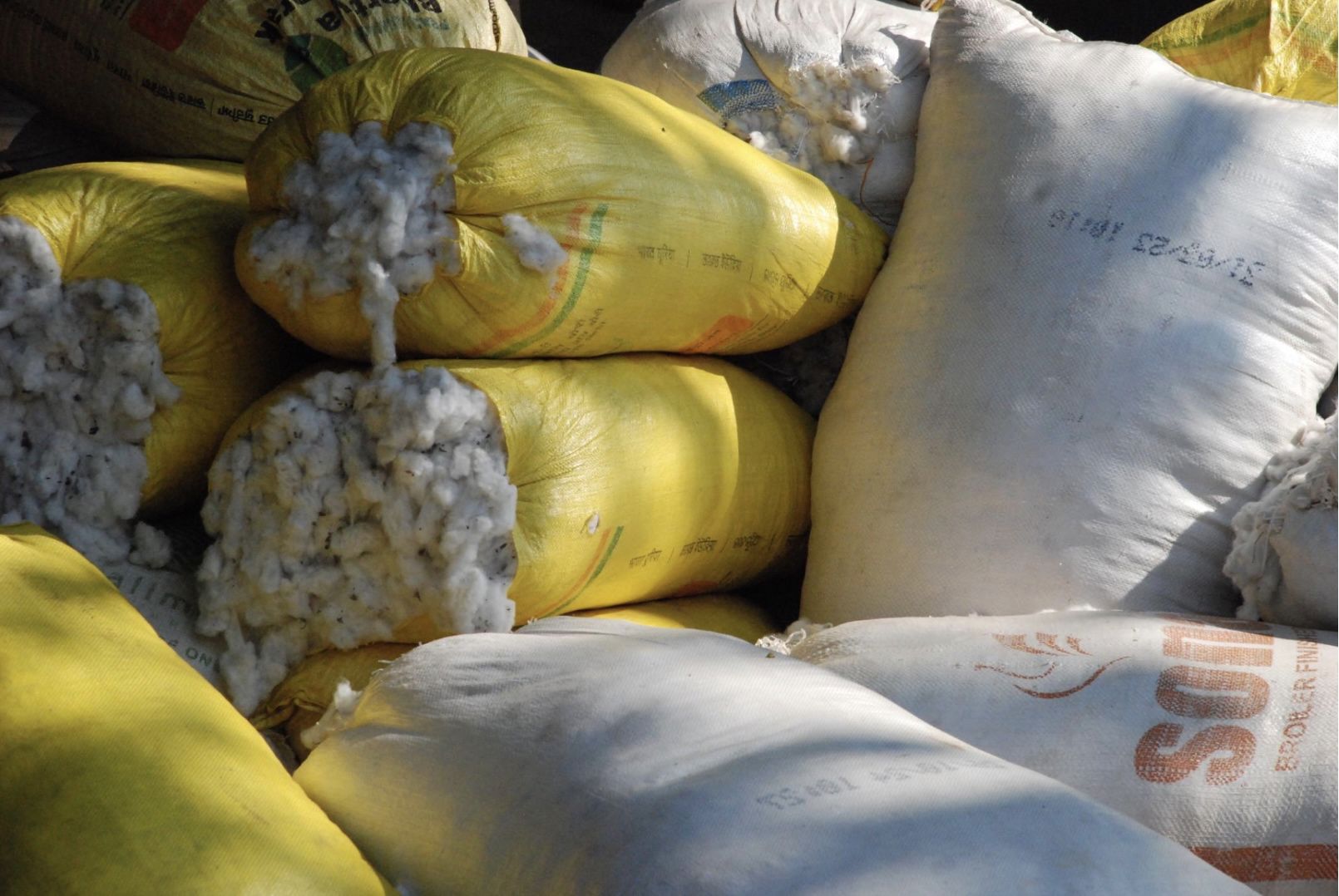 Cotton Diaries urges policymakers to include ginning in future DPPs