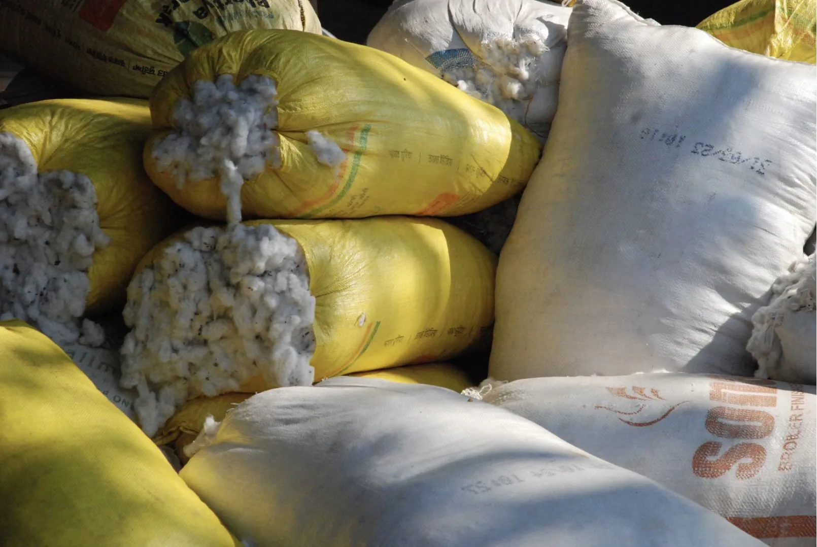 Cotton Diaries urges policymakers to include ginning in future DPPs