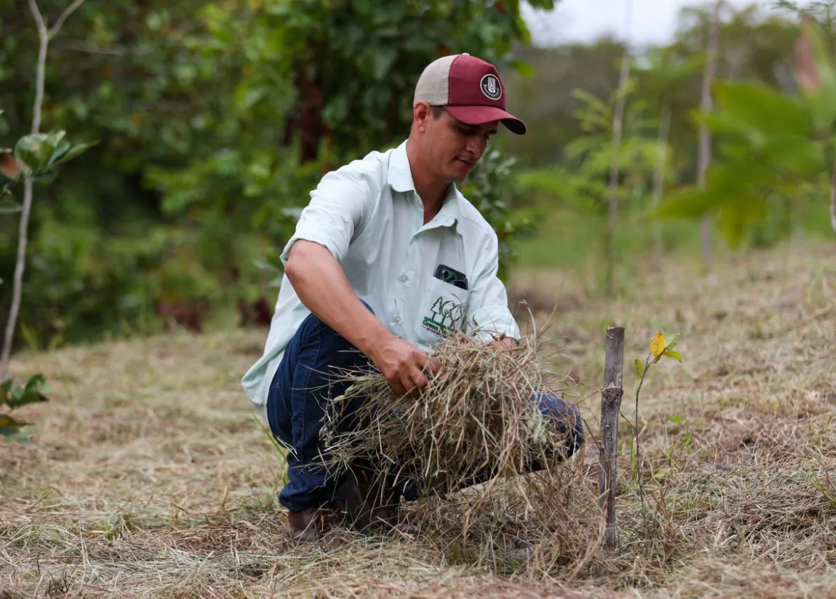 Eastman partners NGO to help restore Brazil’s Atlantic Forest