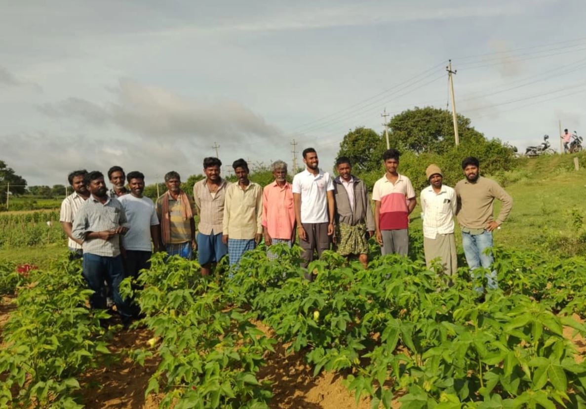 Raddis celebrates first regenerative extra-long staple cotton                                                                                                                                           