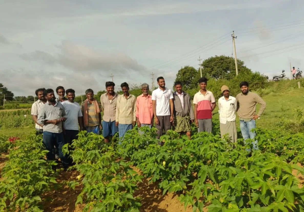 Raddis celebrates first regenerative extra-long staple cotton