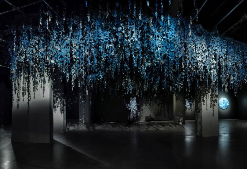 Saatchi Gallery appointment for Ian Berry’s Secret Garden