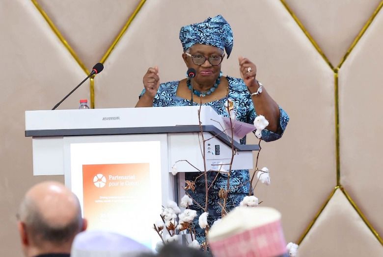 WTO says Africa will have ‘a modern cotton garment industry’