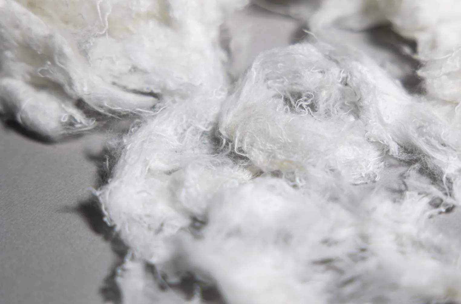 Madewell’s textile-to-textile collection provides ‘blueprint’ for circularity
