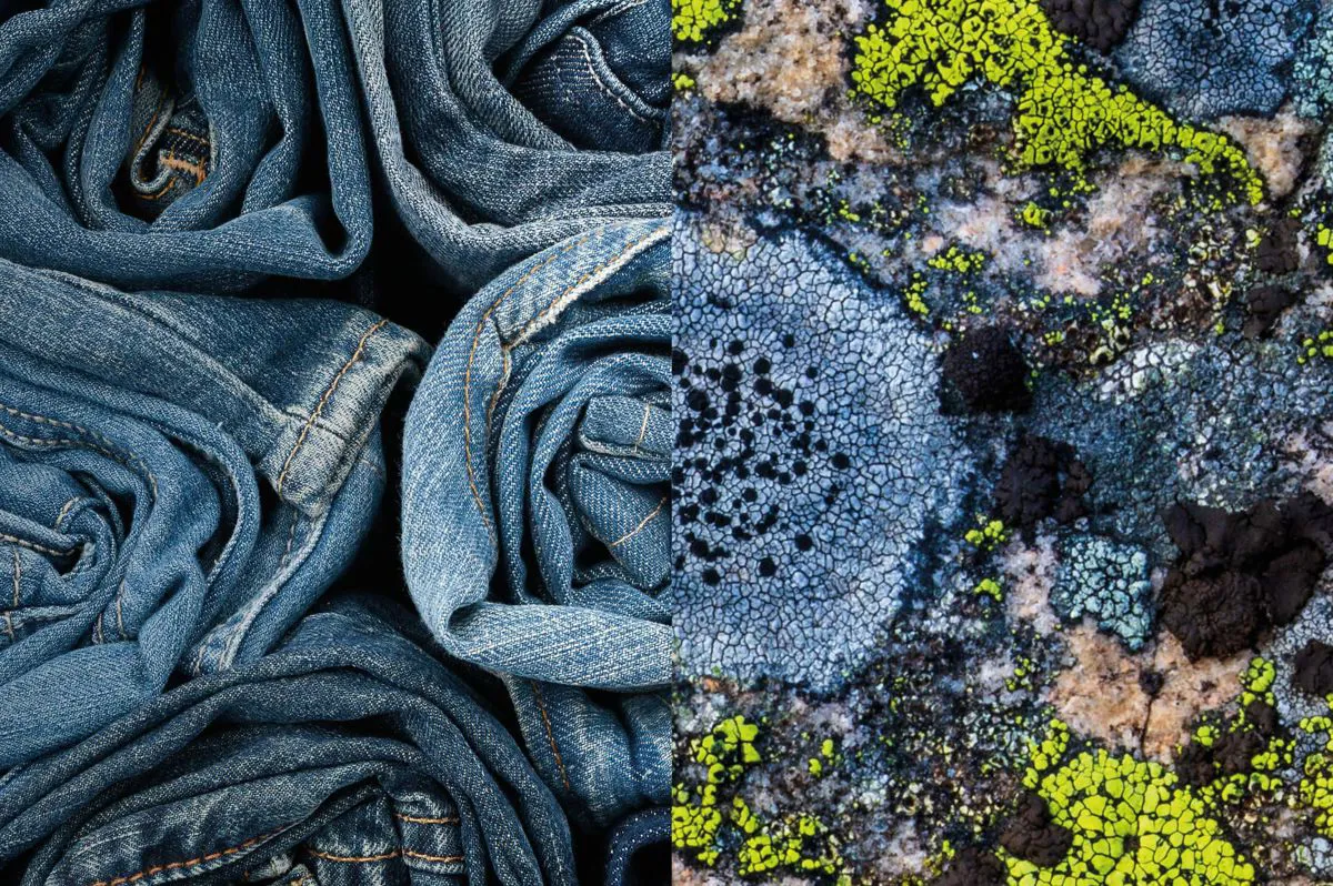 Novonesis' Denibrite future-proofs denim bleaching