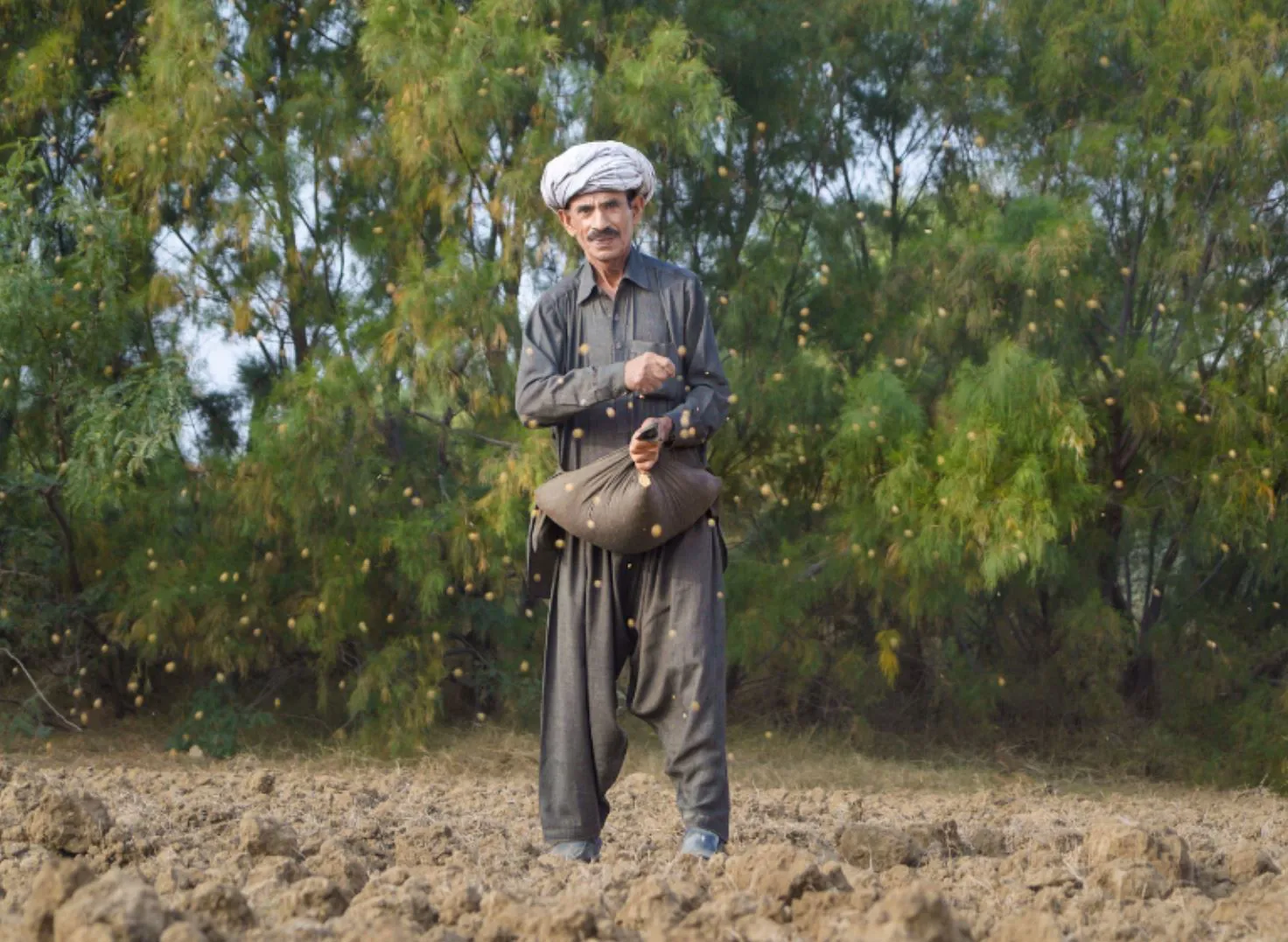 Organic cotton programme advances in Pakistan