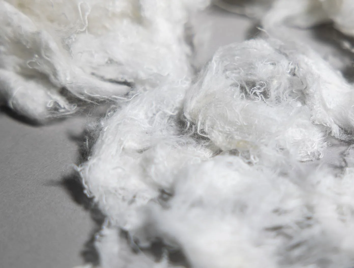 Zalando gives Re&Up’s 'next-gen' cotton the nod