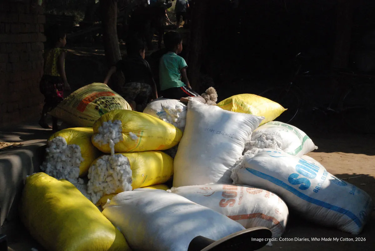 Cotton Diaries releases new report