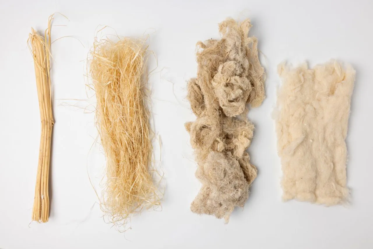 Renaissance Fiber secures funds for hemp fibre processing plant